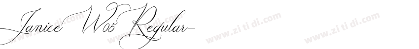 Janice W05 Regular字体转换